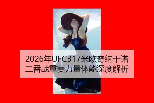 nian-mi-ou-qi-na-gan-nuo-er-fan-zhan-zhong-sai-li-liang-ti-neng-shen-du-jie-xi-3-478.jpg